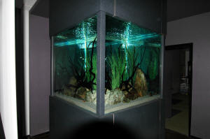 Aquascape Tutorial: 360° River Aquarium / Paludarium / Aqua