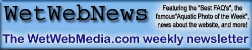 <WetWebNews> A feature of WetWebMedia.com. 