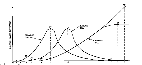Saltwater Tank Cycle Chart