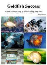 FAQs About Goldfish Behavior 3