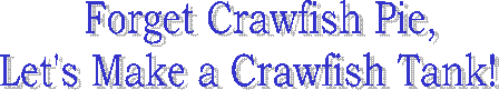     Forget Crawfish Pie,
Let's Make a Crawfish Tank!